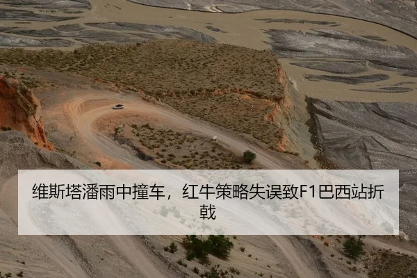 维斯塔潘雨中撞车，红牛策略失误致F1巴西站折戟